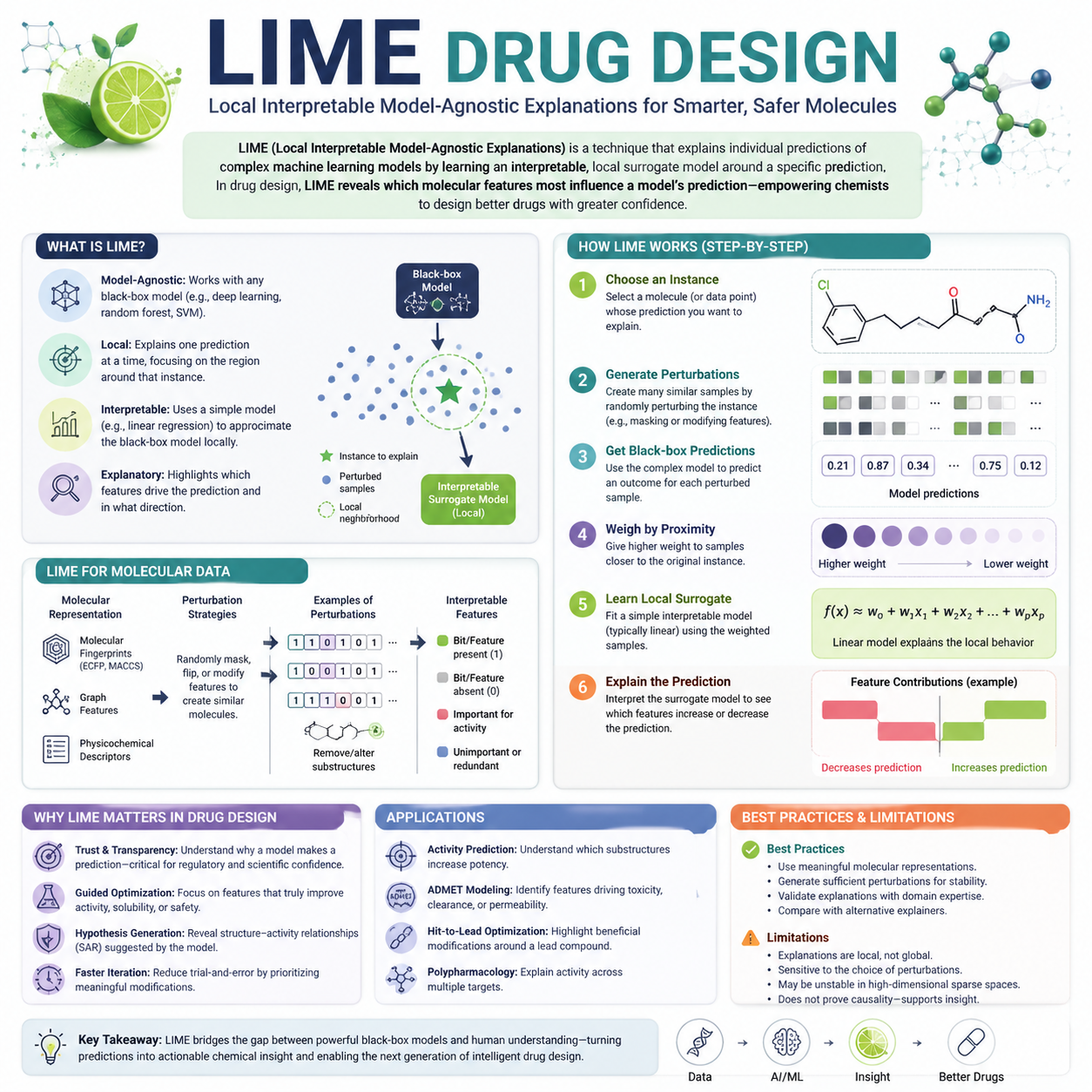 Research LIME Drug Design and make a detailed infographic about it output